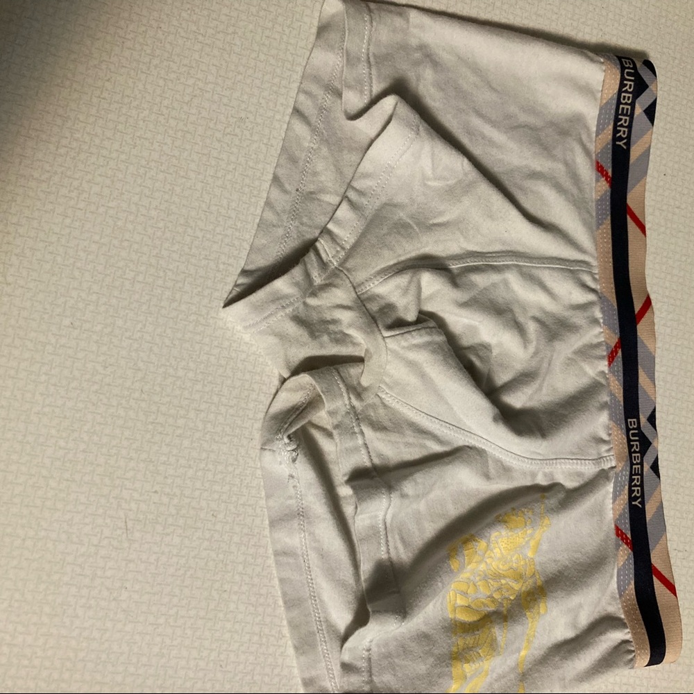 Burberry Mens Medium Trunk white